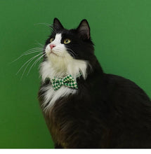 Load image into Gallery viewer, Cute bowtie collar for cats fun unique cat appearance supplies
