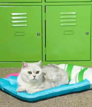 Load image into Gallery viewer, Beer Style Summer Cooling Mat/bed for cats and dogs
