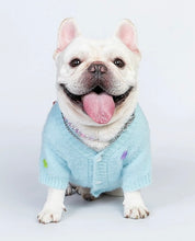 Load image into Gallery viewer, Cute cat &amp; dog sweater, warm winter pet clothes outfit appearance
