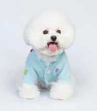 Load image into Gallery viewer, Cute cat &amp; dog sweater, warm winter pet clothes outfit appearance
