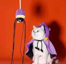 Load image into Gallery viewer, Halloween cape for cats, cute unique fun warm winter cat appearance clothes supplies
