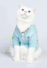 Load image into Gallery viewer, Cute cat &amp; dog sweater, warm winter pet clothes outfit appearance
