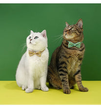 Load image into Gallery viewer, Cute bowtie collar for cats fun unique cat appearance supplies
