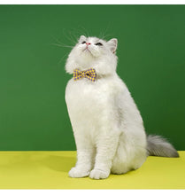 Load image into Gallery viewer, Cute bowtie collar for cats fun unique cat appearance supplies
