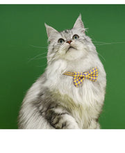 Load image into Gallery viewer, Cute bowtie collar for cats fun unique cat appearance supplies
