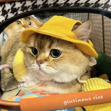 Load image into Gallery viewer, Funny cat hat, cute unique cat pet supplies cosplay appearance Halloween costume for pets
