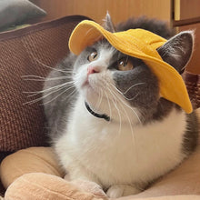 Load image into Gallery viewer, Funny cat hat, cute unique cat pet supplies cosplay appearance Halloween costume for pets
