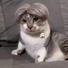 Load image into Gallery viewer, Funny cat cosplay hair, cute unique cat pet supplies cosplay appearance Halloween costume for pets
