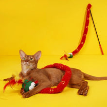 Load image into Gallery viewer, Dragn style cat teaser toy with catnip added
