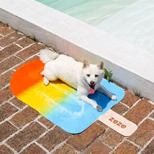 Load image into Gallery viewer, Popsicle Summer Cooling Mat/bed for cats and dogs, Waterproof
