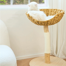 Load image into Gallery viewer, Cute Cat Tree, wooden cat tower, cat climbing tree cute cat furniture supplies accessories
