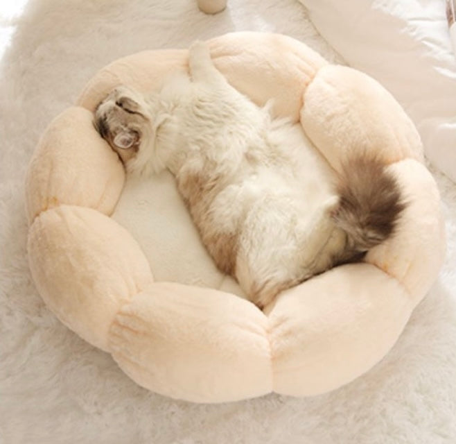 Flower style bed for cat dog pet bed