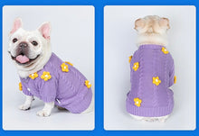 Load image into Gallery viewer, Cute cat &amp; dog sweater, warm winter pet clothes outfit appearance
