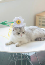 Load image into Gallery viewer, Flower style cute unique cat teaser, catnip toy
