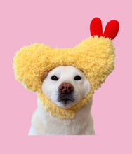 Load image into Gallery viewer, Fun hat for cat and dog, Halloween costume for pets
