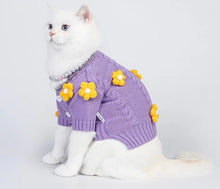 Load image into Gallery viewer, Cute cat &amp; dog sweater, warm winter pet clothes outfit appearance
