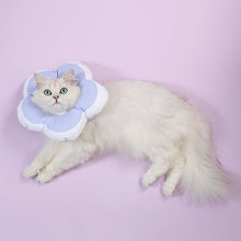 Load image into Gallery viewer, Waterproof Elizabeth collar for cats
