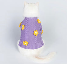 Load image into Gallery viewer, Cute cat &amp; dog sweater, warm winter pet clothes outfit appearance
