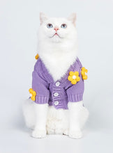 Load image into Gallery viewer, Cute cat &amp; dog sweater, warm winter pet clothes outfit appearance
