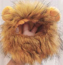 Load image into Gallery viewer, Super cute lion style cat clasp/hat, fun unique cat supplies appearance cosplay outfit
