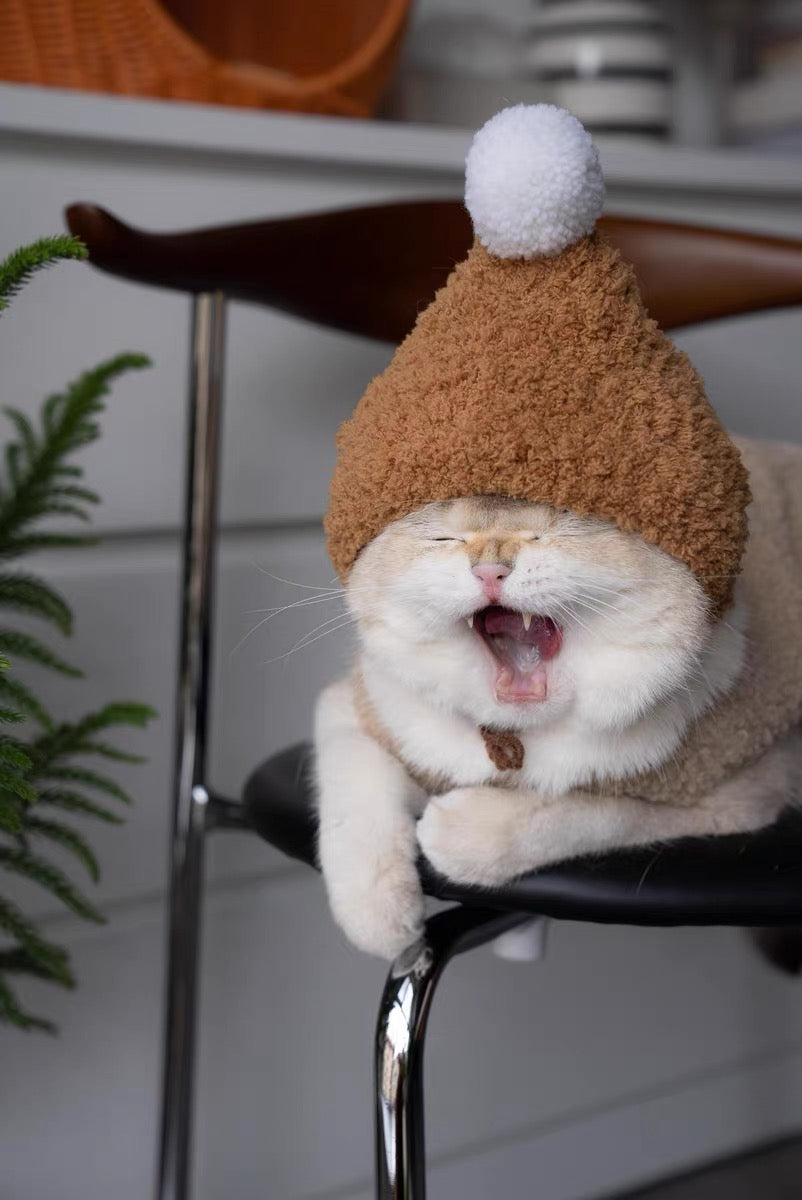 Cute cat winter warm hat, fun unique pet supplies appearance cosplay Christmas costume for pets
