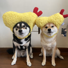 Load image into Gallery viewer, Fun hat for cat and dog, Halloween costume for pets
